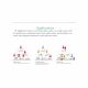 DSPPA Wi-Fi Intelligent Audio Streaming Preamplifier With Bluetooth