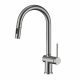 Suizak Kitchen Faucet with Pull-out Spray