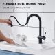 Suizak Kitchen Faucet with Pull-out Spray