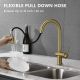 Suizak Kitchen Faucet with Pull-out Spray
